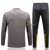 BVB Borussia Dortmund Sweatshirts Anzüge Suit Quarter-zip 2022-23 Hellgraue Für Herren